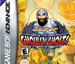 image-https://media.senscritique.com/media/000006488306/0/super_ghouls_n_ghosts.jpg