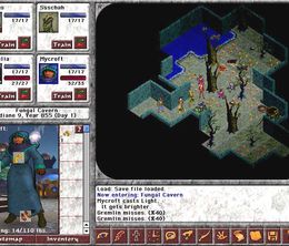 image-https://media.senscritique.com/media/000006489673/0/Blades_of_Avernum.jpg