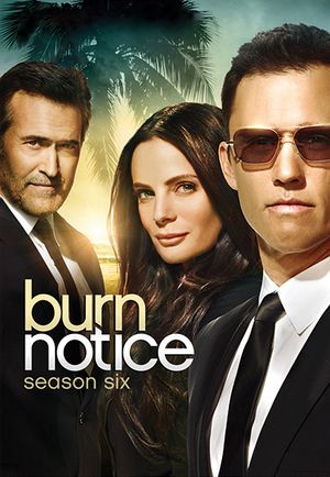 Burn Notice - Saison 6