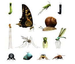 image-https://media.senscritique.com/media/000006504960/0/minuscule_la_vie_privee_des_insectes.jpg
