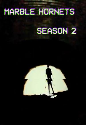 Marble Hornets - Saison 2