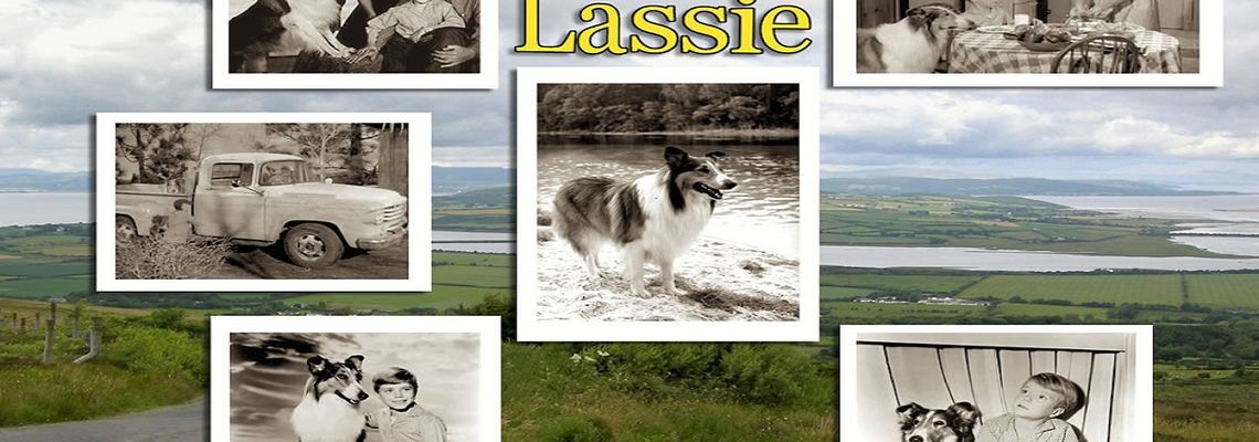 Cover Lassie