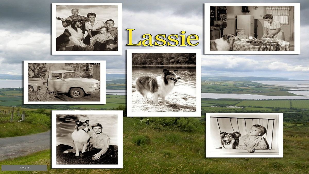 Lassie Série 1954 Senscritique