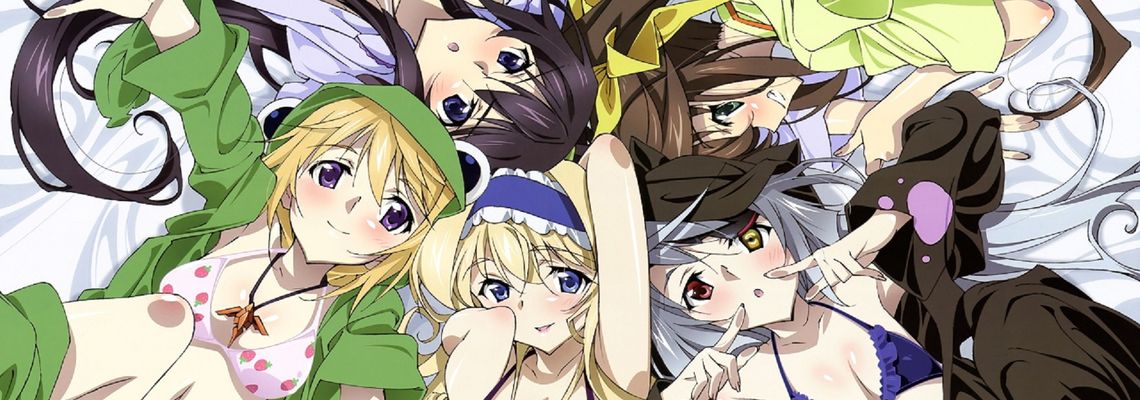 Cover Infinite Stratos