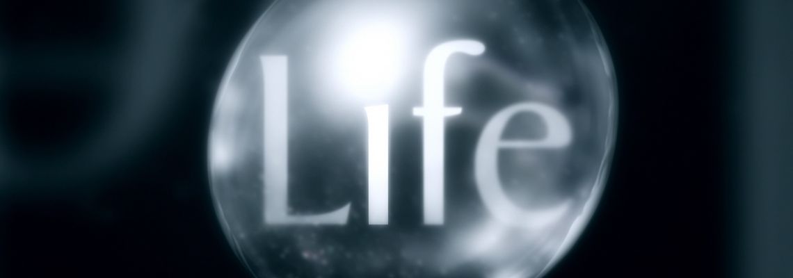 Cover Life : L'Aventure de la vie