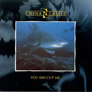 You Did Cut Me (Single)