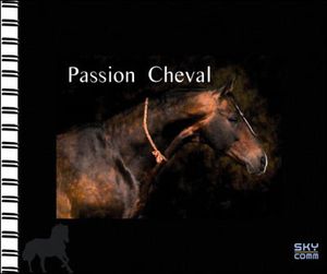 Passion cheval