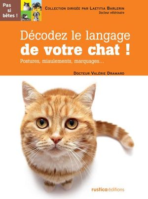 Décodez le langage de votre chat