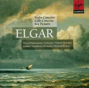 Violin Concerto in B minor, op. 61: I. Allegro