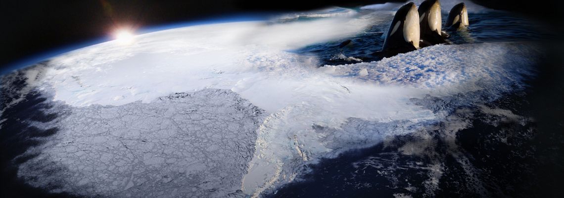Cover Terres de glace