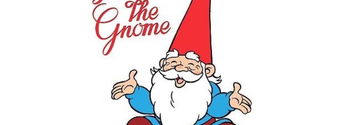 Cover David the Gnome