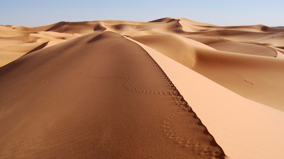 Sahara with michael palin s rie 2002 senscritique