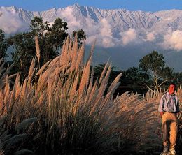 image-https://media.senscritique.com/media/000006579814/0/himalaya_with_michael_palin.jpg