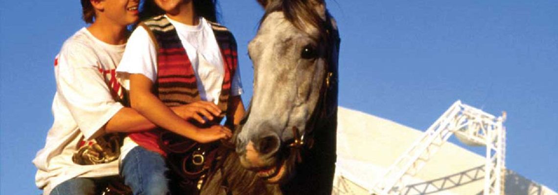 Cover Les Chasseurs d'étoiles