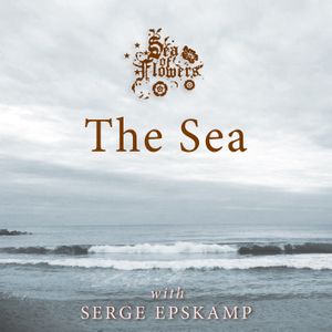 The Sea (Single)