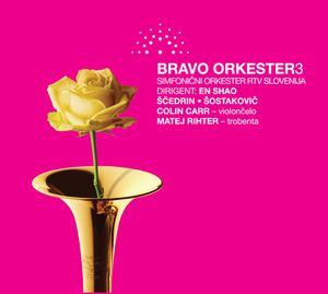 Bravo Orkester 3