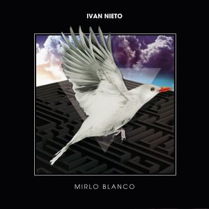 Mirlo blanco