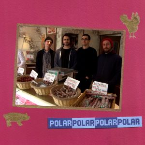 Polar Polar Polar Polar (EP)