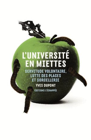 L'université en miettes