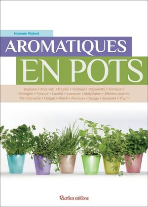 Aromatiques en pots