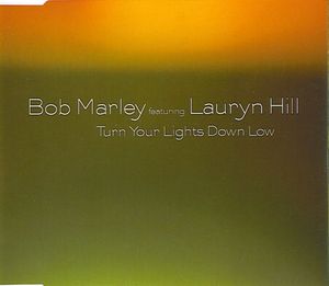 Turn Your Lights Down Low (Single)