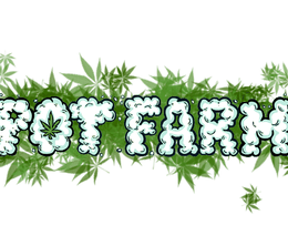 image-https://media.senscritique.com/media/000006641920/0/Pot_Farm_Grass_Roots.png