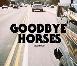 image-https://media.senscritique.com/media/000006644074/0/goodbye_horses.jpg