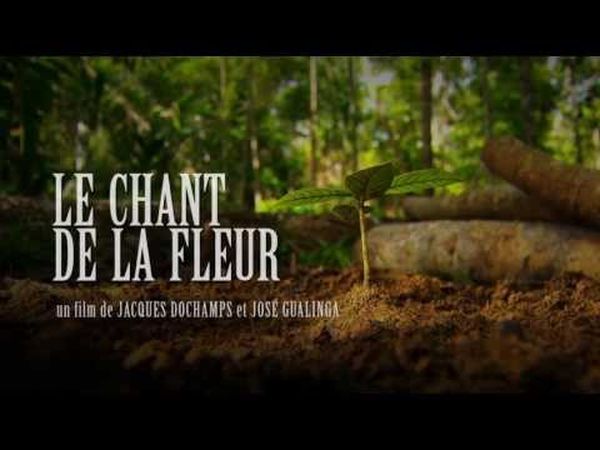 Le chant de la fleur