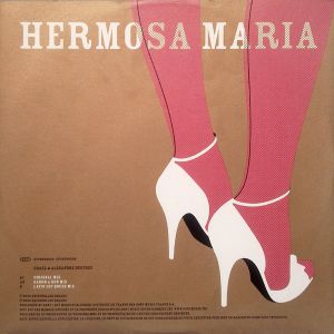 Hermosa Maria (Latin Hip House mix)