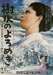 Affiche Amours dans la neige Affiche Amours dans la neige