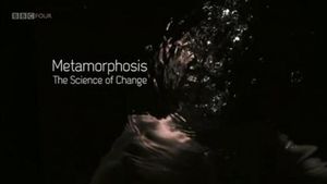 Metamorphosis : The science of change