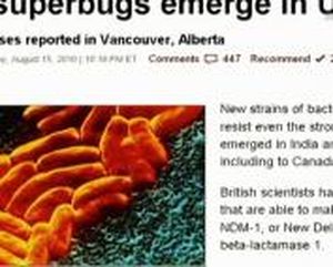 Virus contre bactéries : une solution à la crise des antibiotiques