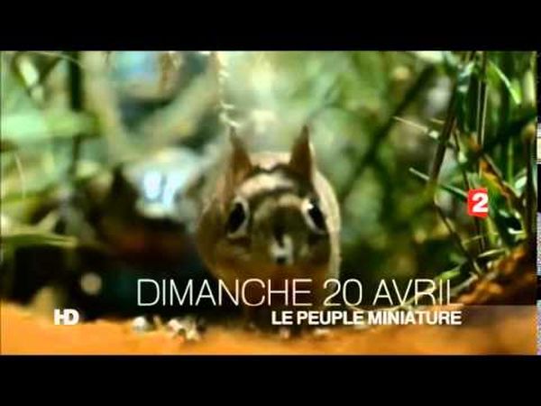 Le peuple miniature