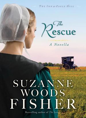 Rescue, The (Ebook Shorts) (The Inn at Eagle Hill)