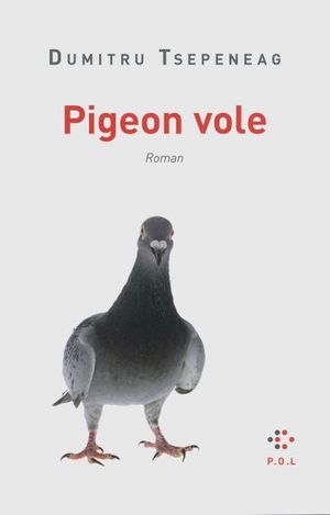 Pigeon vole