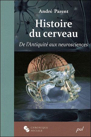 Histoire du cerveau : de l'Antiquité aux neurosciences