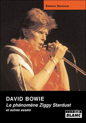David Bowie, le phénomène Ziggy Stardust
