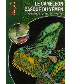 Le caméléon casqué du Yémen