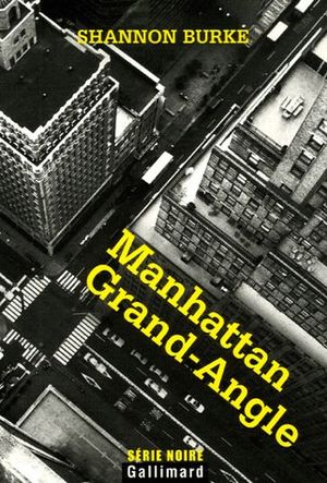 Manhattan grand angle