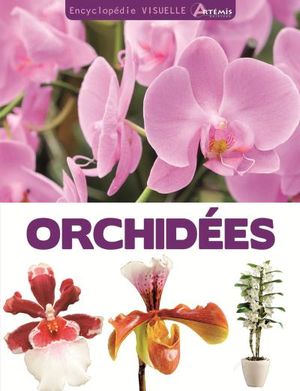 Orchidées