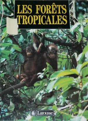 Les forêts tropicales