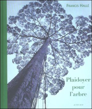 Plaidoyer pour l'arbre