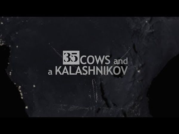 35 Cows and a Kalashnikov