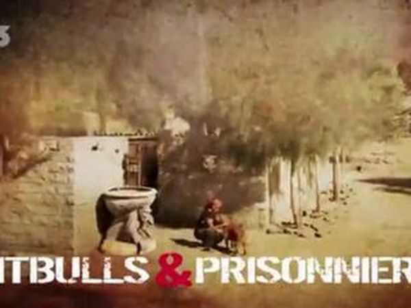 Pitbulls et Prisonniers