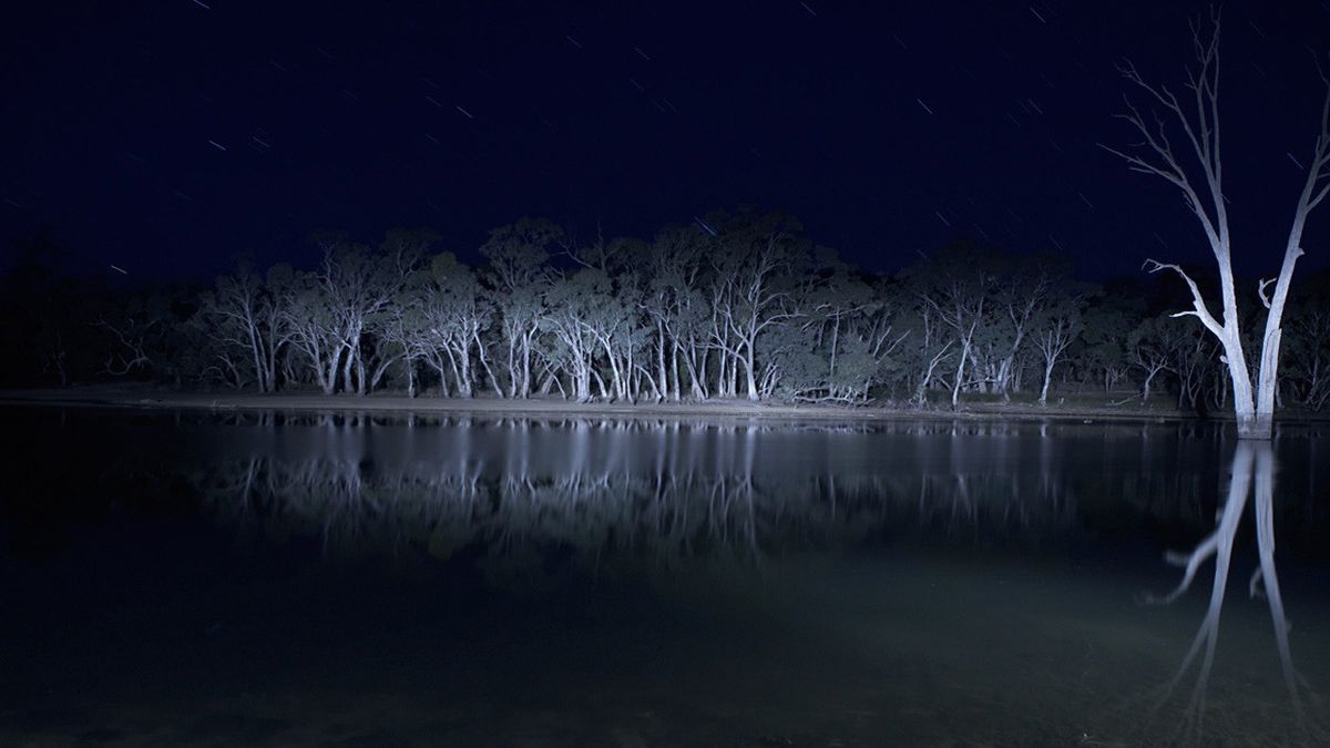 Lake Mungo Streaming Hd Vostfr