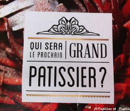 image-https://media.senscritique.com/media/000006835729/0/qui_sera_le_prochain_grand_patissier.jpg