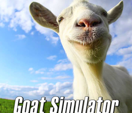 image-https://media.senscritique.com/media/000006854481/0/goat_simulator.png