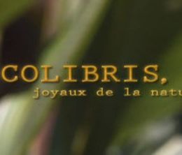 image-https://media.senscritique.com/media/000006855811/0/colibris_joyaux_de_la_nature.jpg