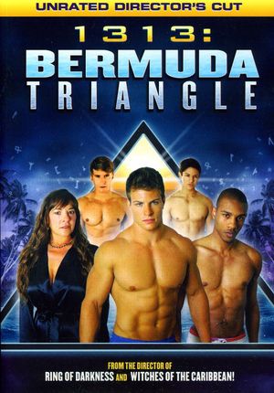 1313 : Bermuda Triangle