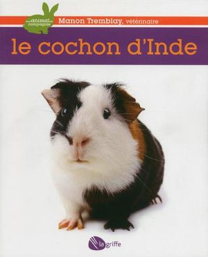 Le cochon d'Inde